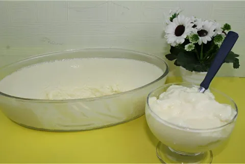 Mousse de leite ninho na travessa muito fácil de fazer para 
