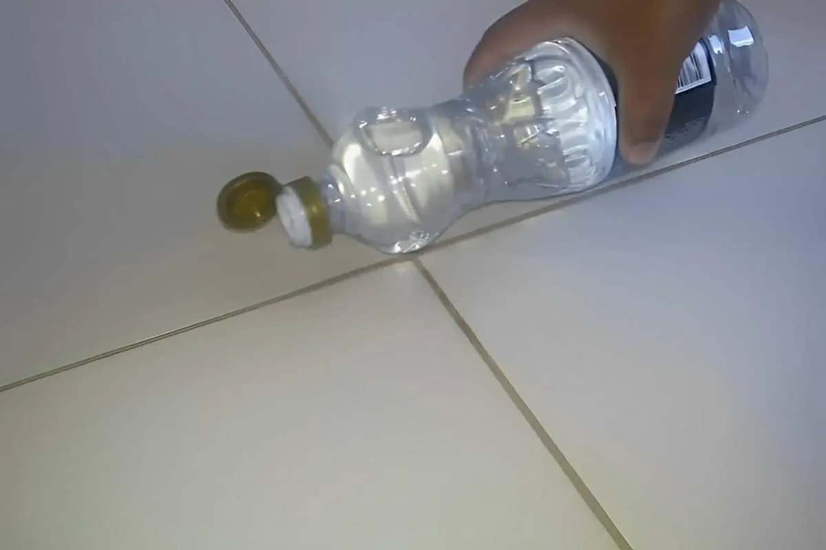 Nunca imaginei que esse produto caseiro seria um excelente l