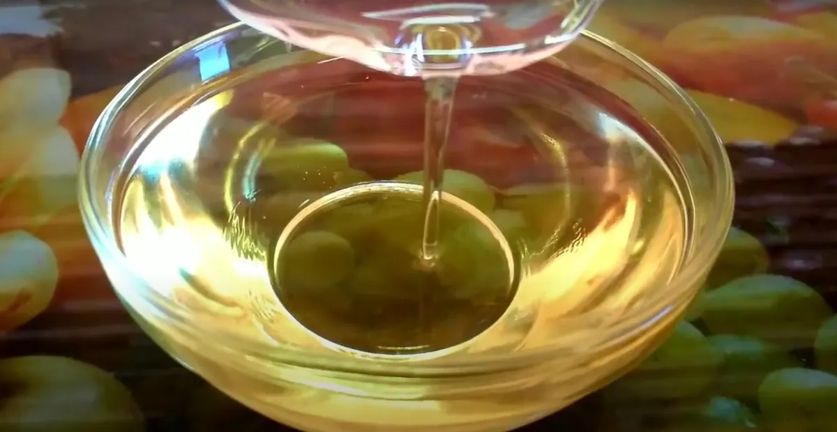 Óleo de babosa caseiro: aprenda a fazer e nunca mais gaste d