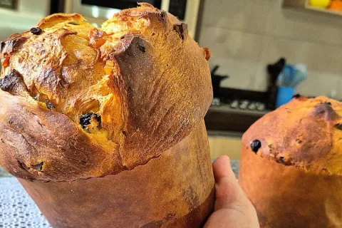 Panetone caseiro: faça seu panetone em casa, essa receita va