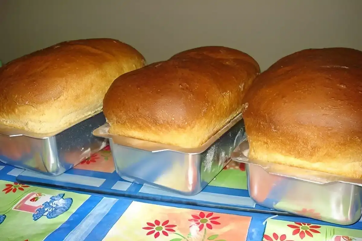 Pão caseiro fácil que cresce bastante e rende vários pães su