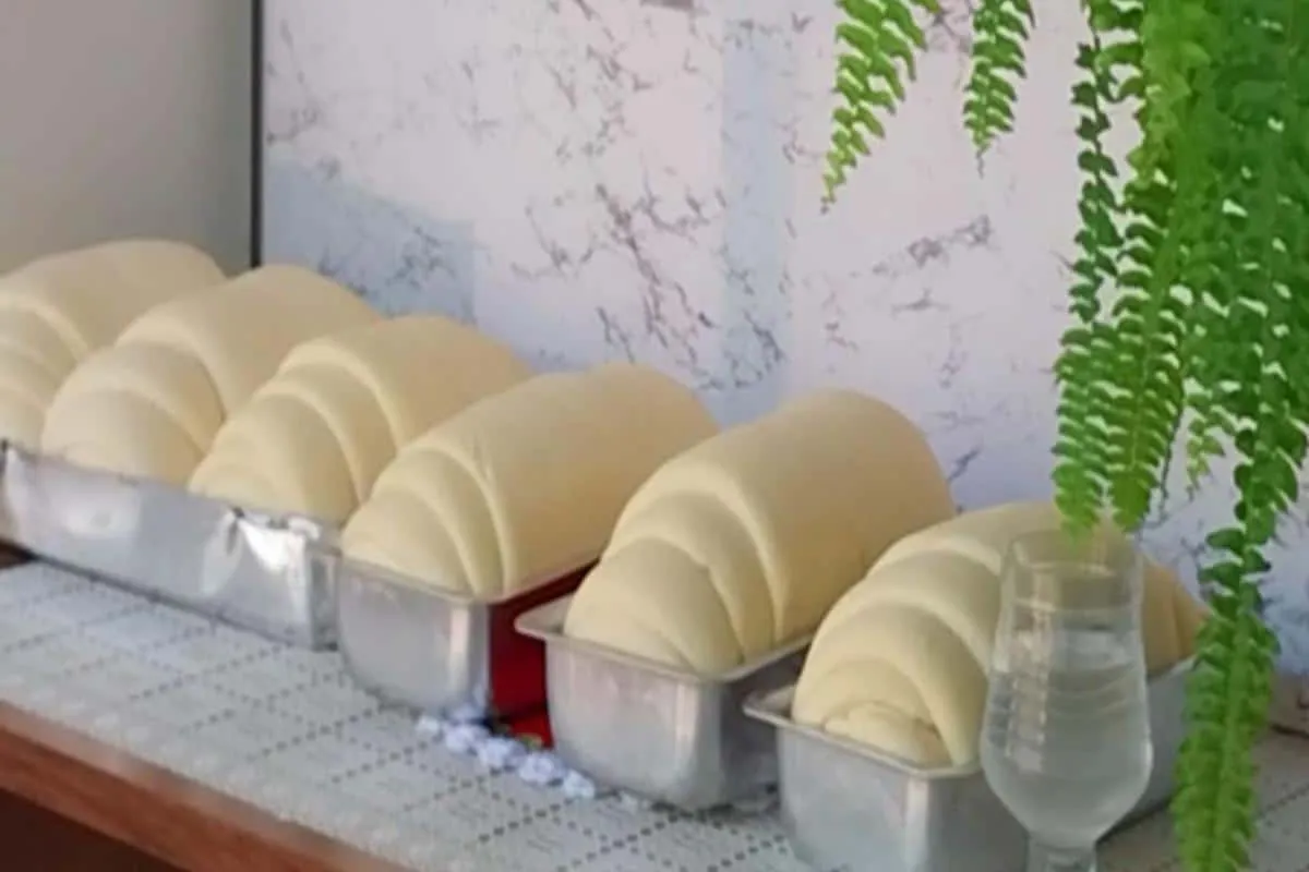 Pão caseiro tão bom que cresce muito até nos dias mais frios
