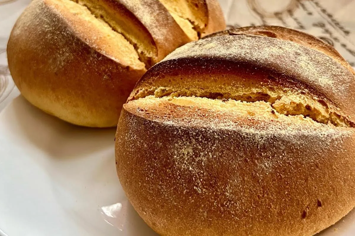 Pão chama fartura de milho com erva doce para seu café da ma