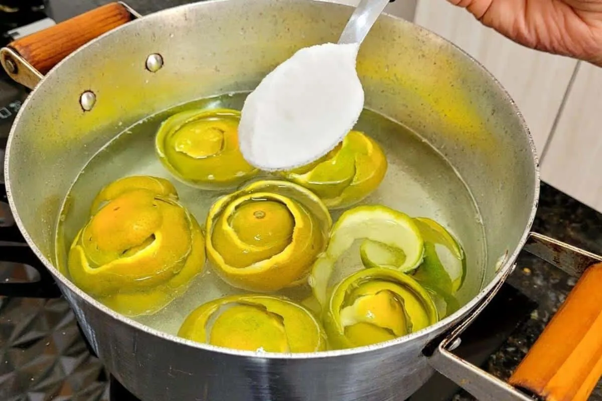 Produto de limpeza caseiro com sal e casca de laranja para v