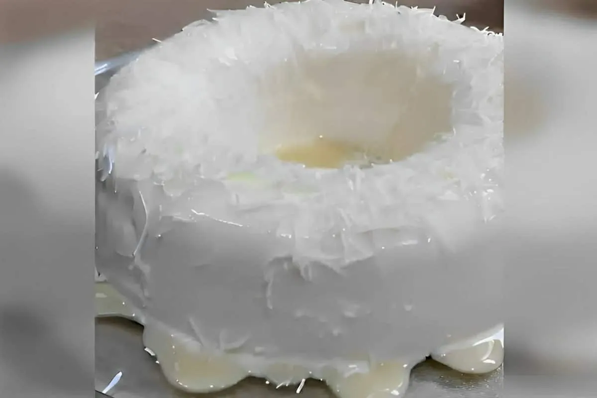 Pudim de coco fácil que não vai ao forno é só bater os ingre