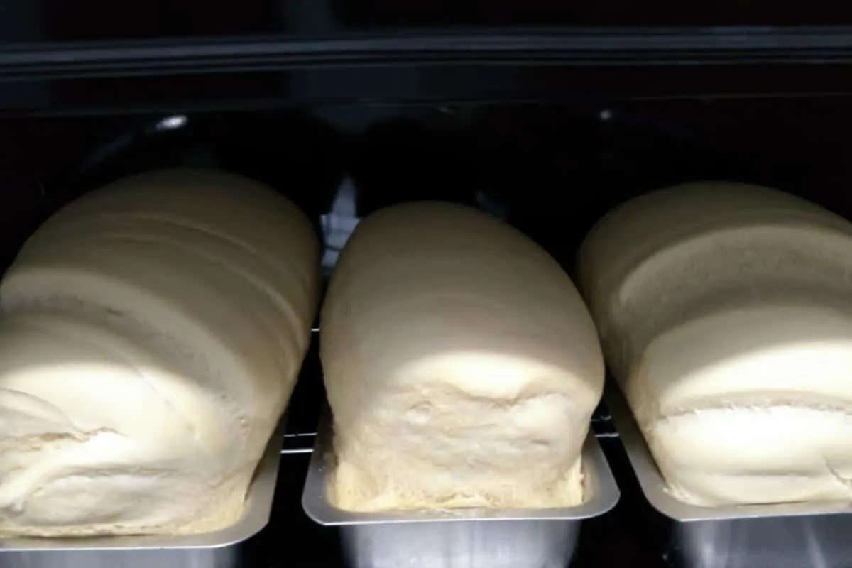 Receita de pão caseiro que cresce bastante infalível até nos