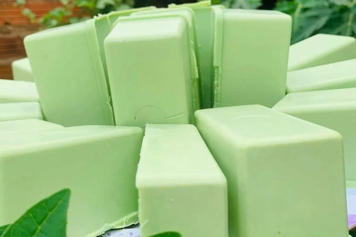 Sabão caseiro com folha de mamão: além de ingredientes fica