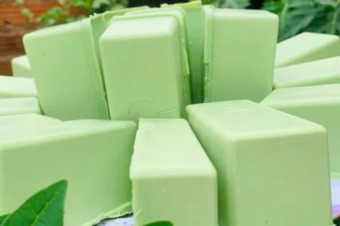 Sabão caseiro com folha de mamão: além de ingredientes fica 
