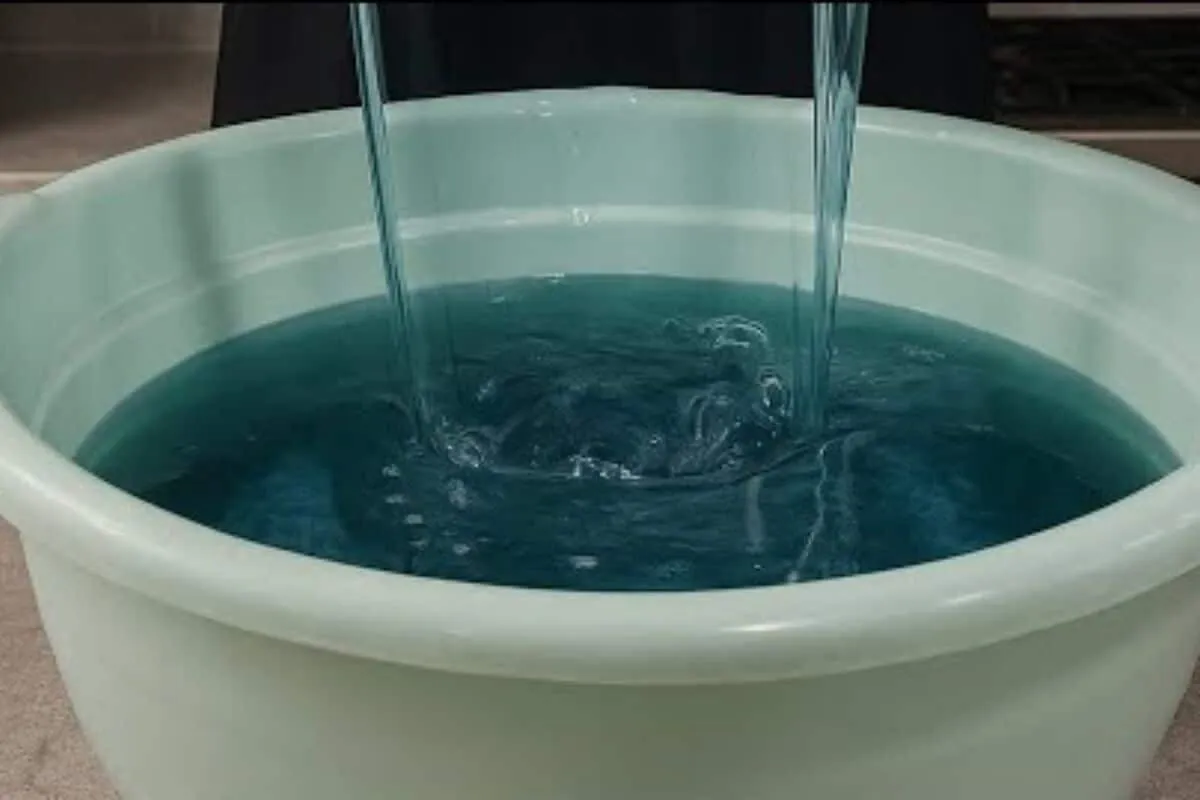 Sabão líquido de pinho multiuso: receita caseira que rende m