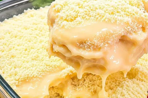 Sobremesa de leite Ninho extremamente cremosa e rápida, aque