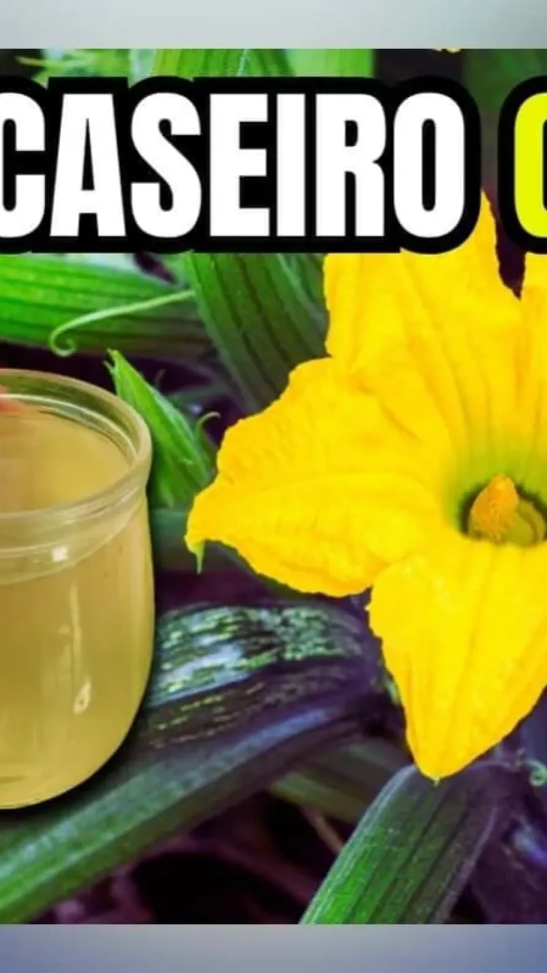 Adubo caseiro para plantas: solução que você faz em casa com ingredientes simples