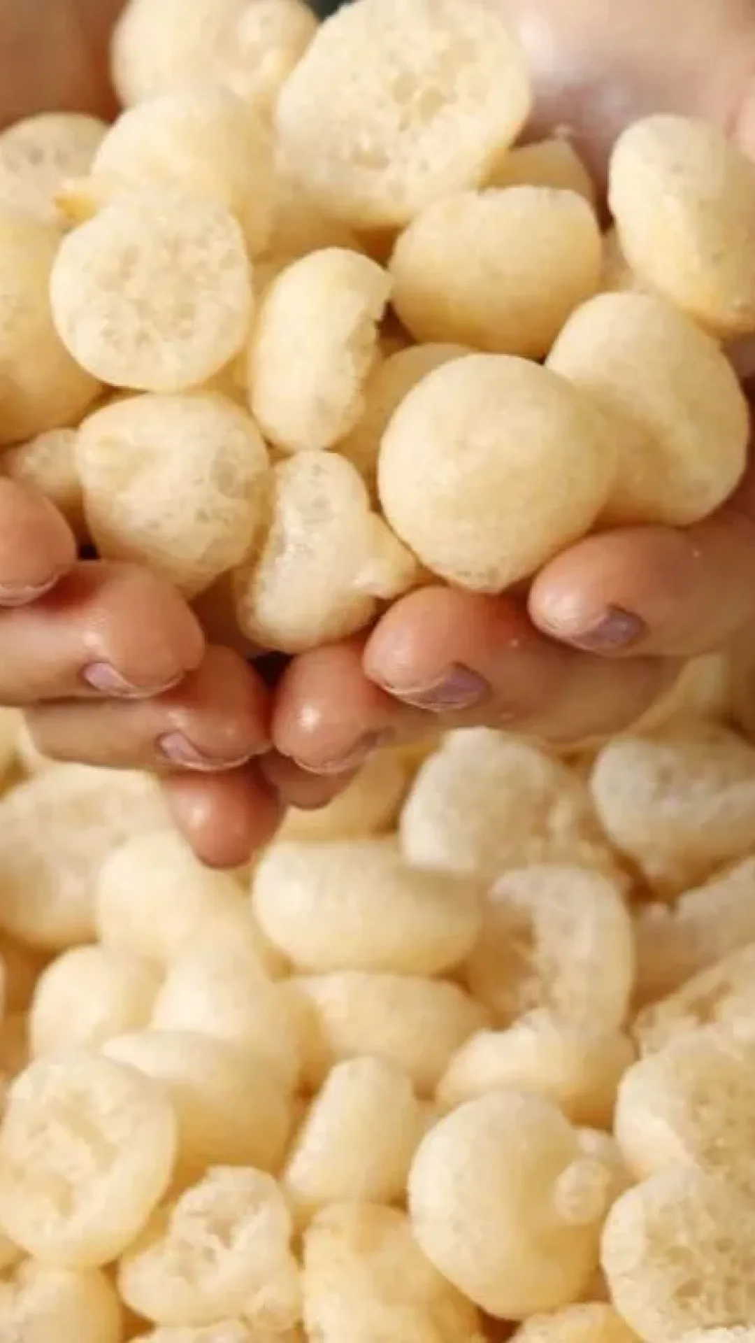 Bolinha de polvilho crocante que rende muuuito: biscoito bolinha de polvilho delicioso
