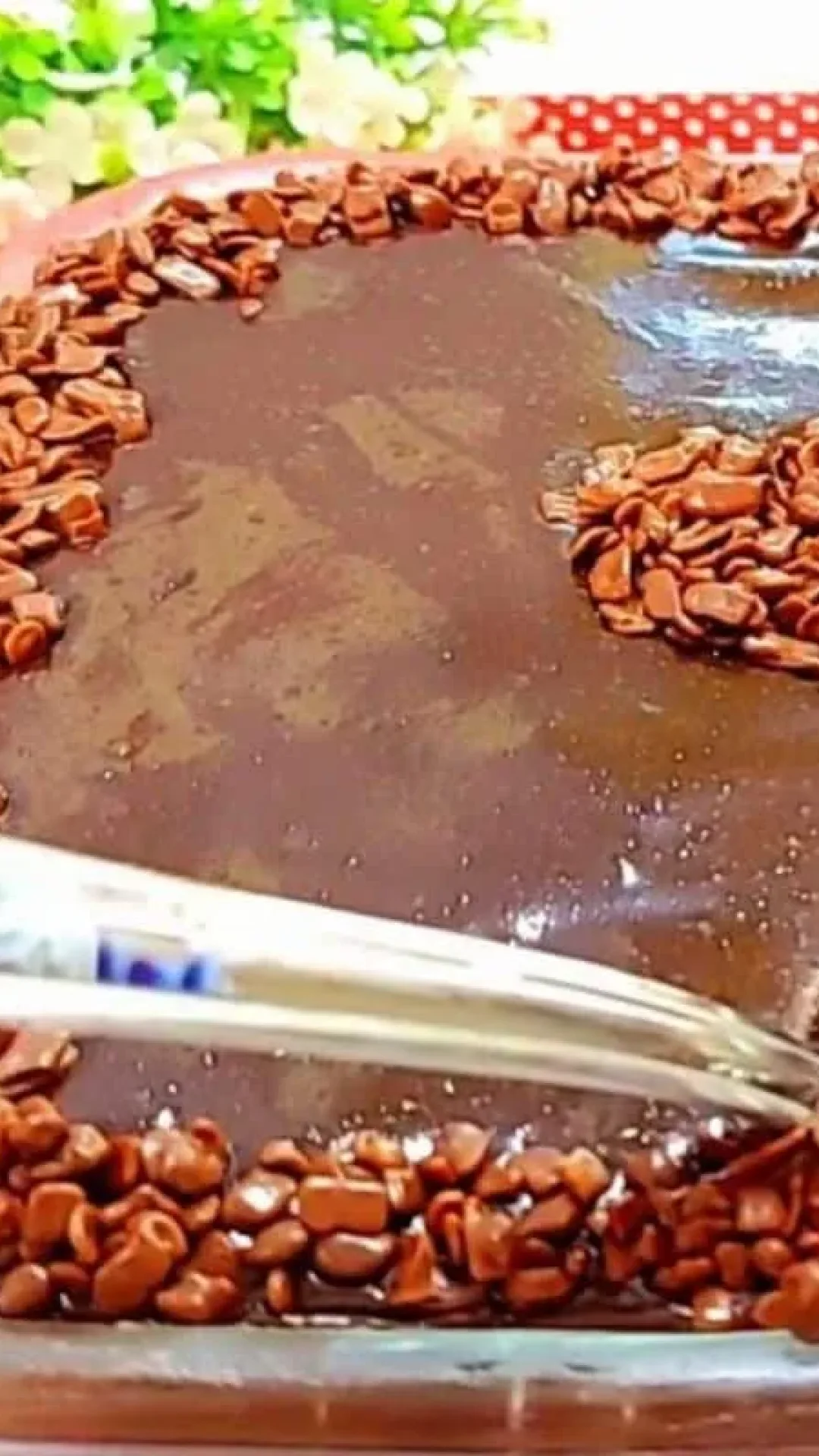 Bolo de microondas de chocolate delicioso, que fica pronto em apenas 5 minutos