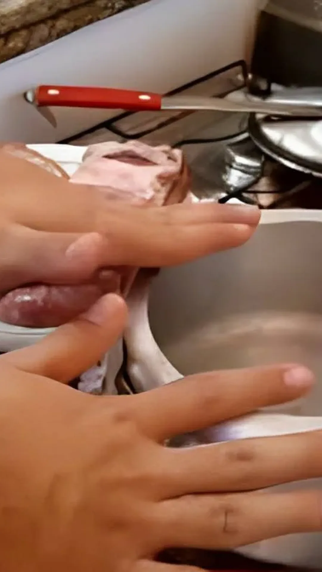 Churrasco na panela de pressão uma receita simples e deliciosa para qualquer dia da semana