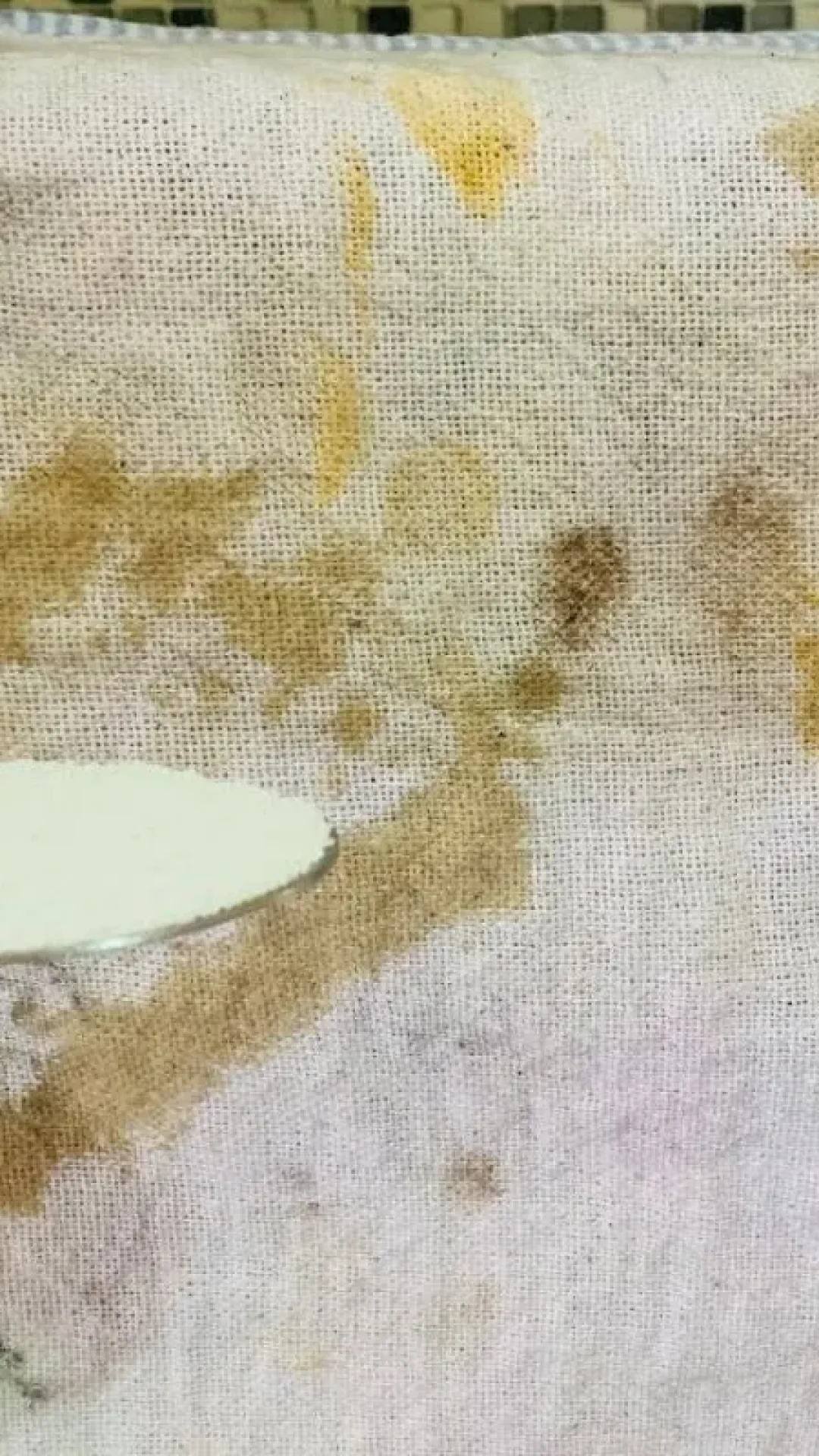 Como desencardir pano de prato manchado e encardido sem precisar esfregar o dia todo