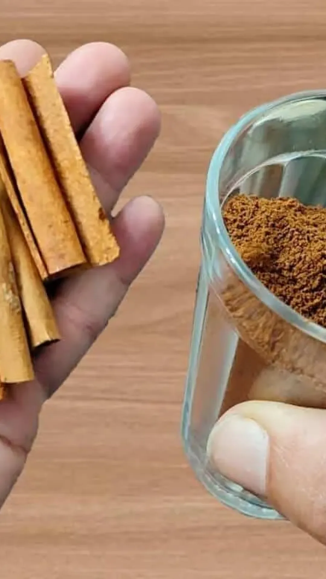 Como fazer planta crescer e florir: não precisa comprar produto na loja de plantas