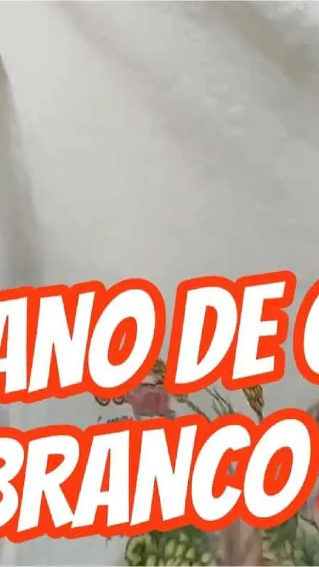 Como lavar pano de prato do jeito certo para tirar manchas de mofo e amarelado