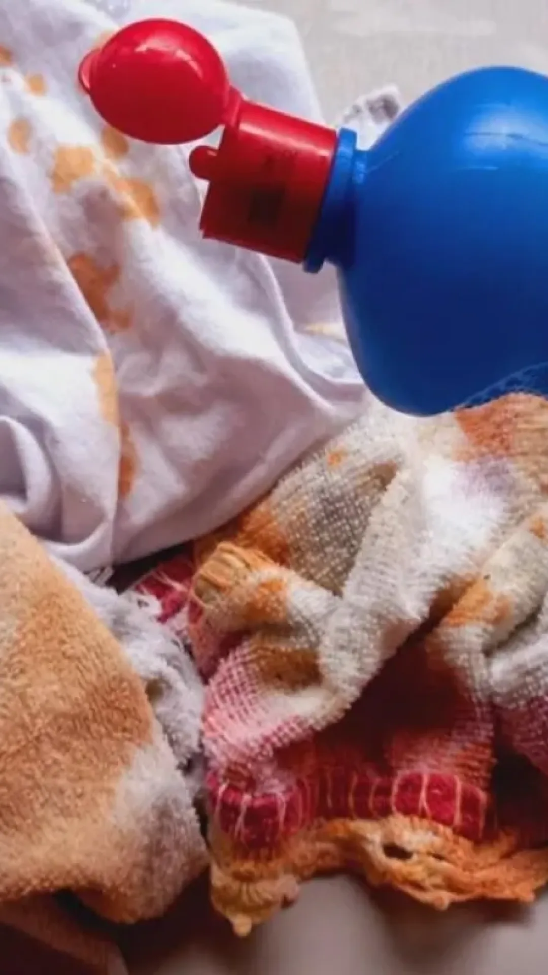 Como limpar pano de prato manchado: truque caseiro que tira a sujeira e deixa como novo