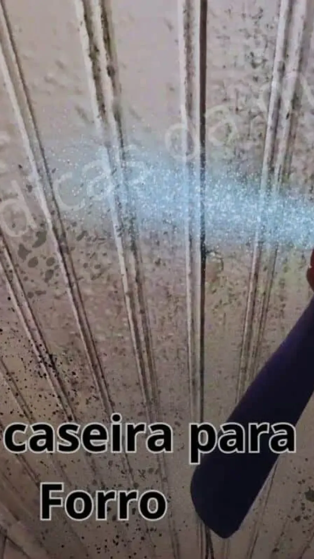 Como tirar mofo da parede: técnica econômica e sem esforço para você fazer na sua casa