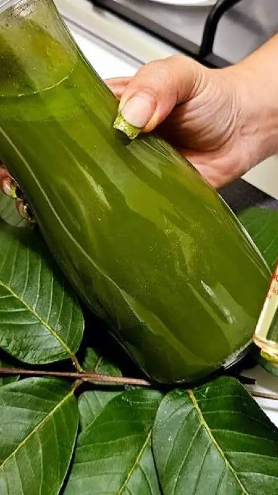 Conheça essa sensacional dica caseira para o cabelo crescer que você vai adorar