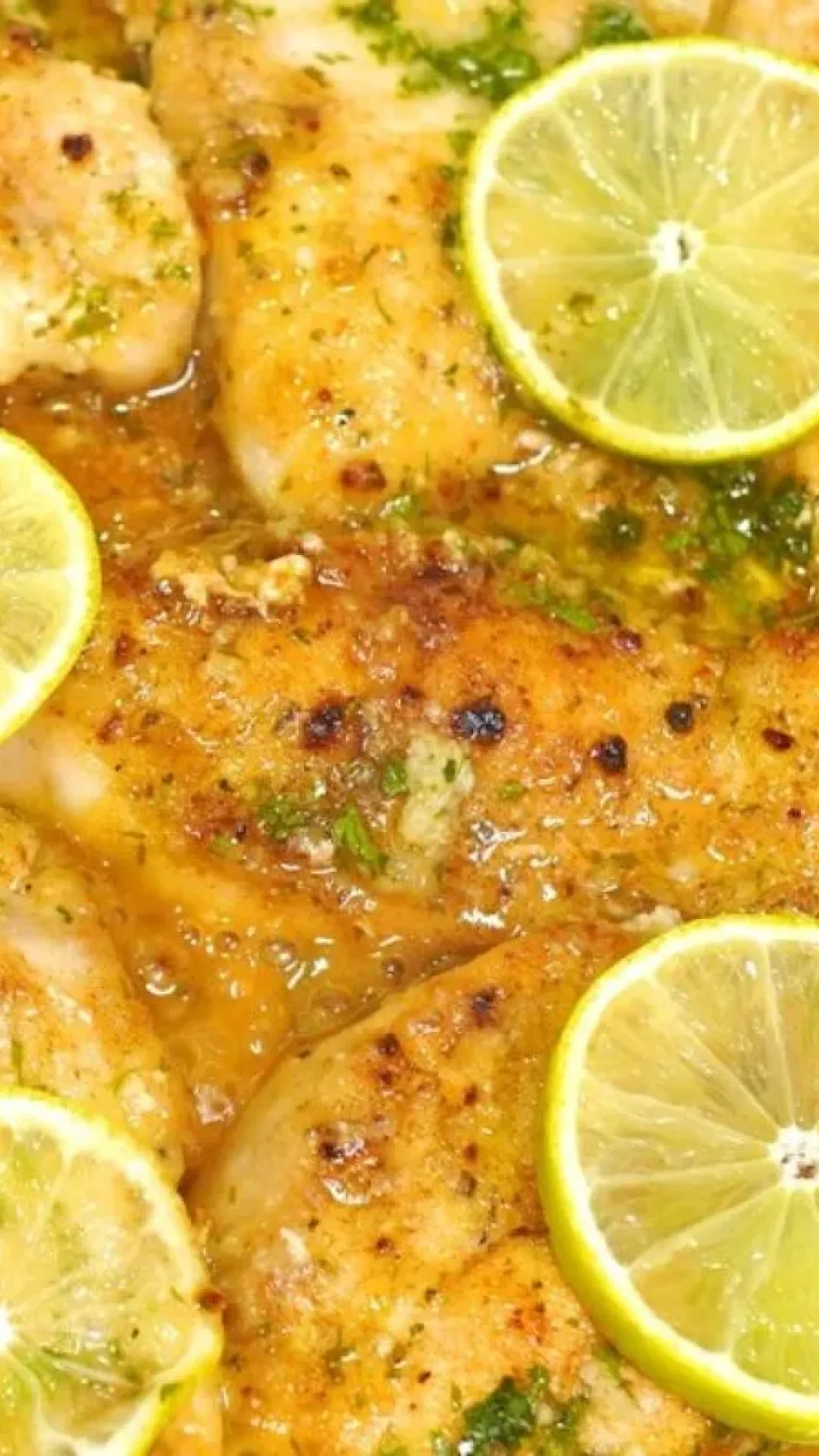 Filé de frango suculento: filé fácil e suculento para o dia a dia, delicioso