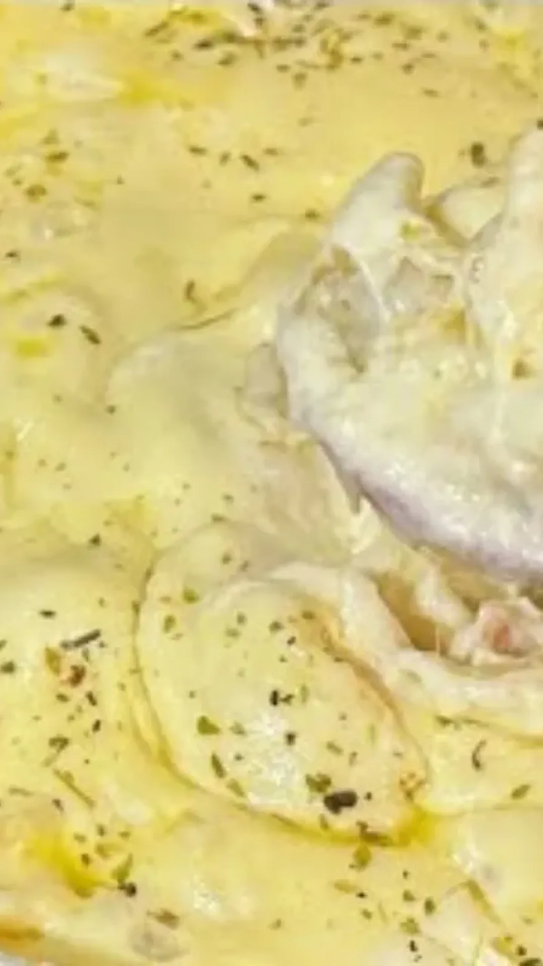 Massa ao molho branco: veja como fazer um capeletti de frango delicioso com parmesão