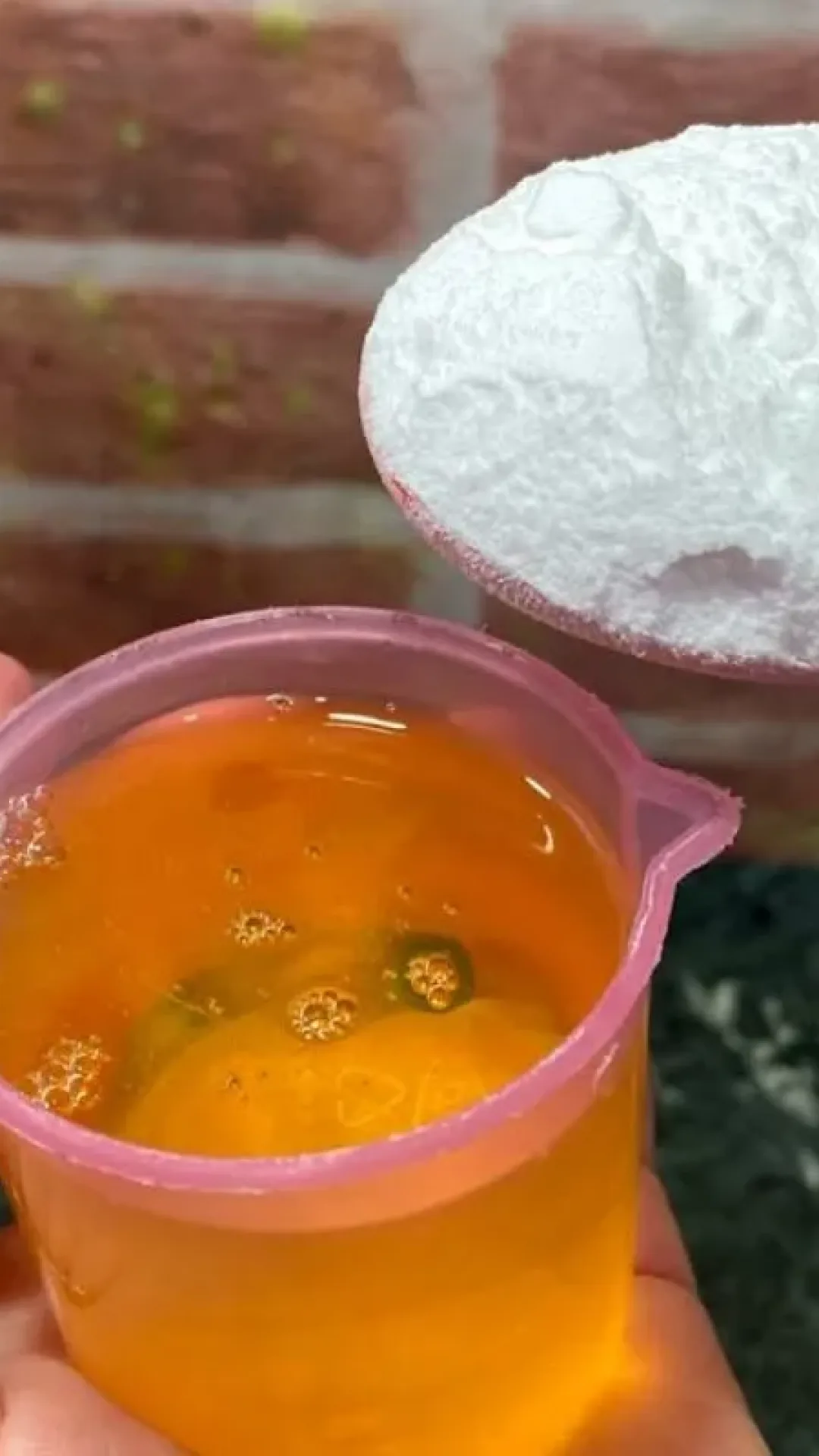 Misturinha para limpar piso: deixa qualquer chão encardido novinho em folha