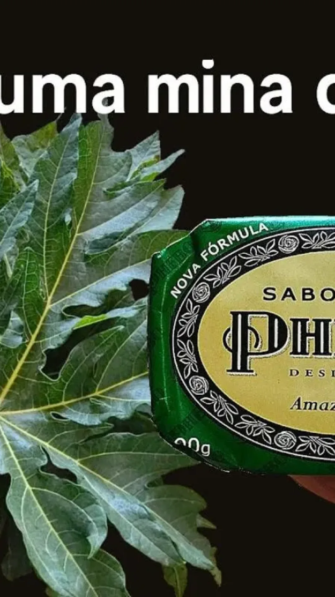 Multiuso caseiro com mamão e sabonete, limpa bem e é super econômico