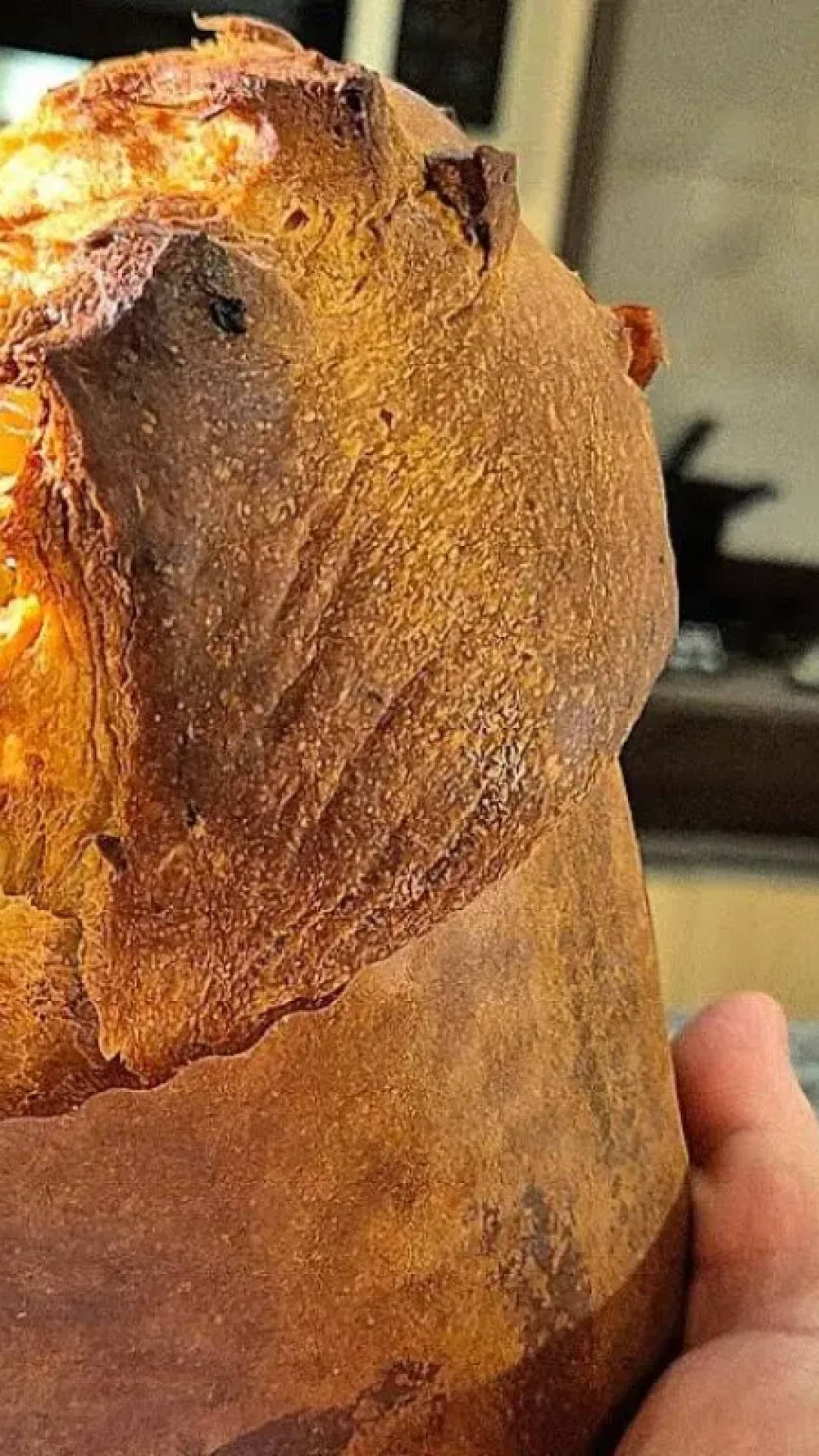 Panetone caseiro: faça seu panetone em casa, essa receita vai te surpreender, macia e saborosa