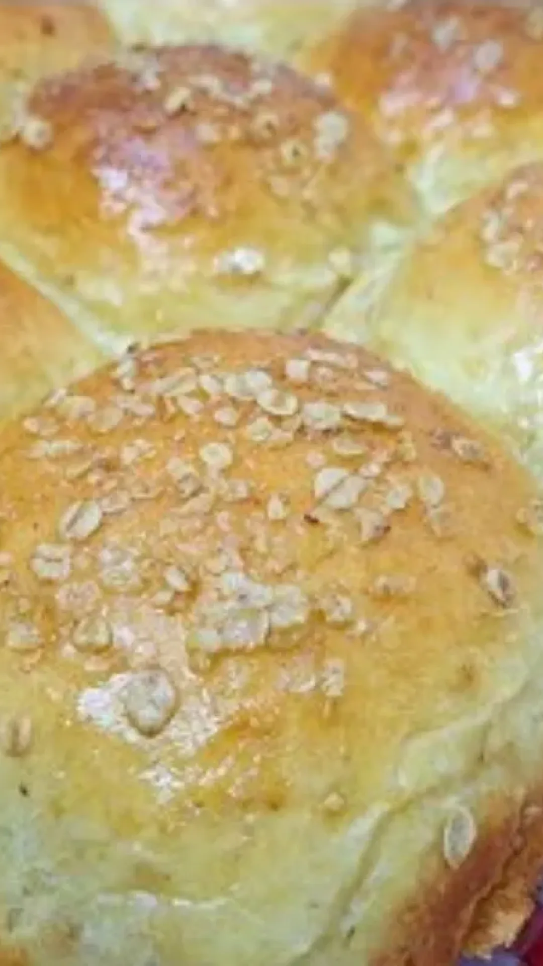 Pão com aveia e mel super fofinho: a receita fácil e nutritiva para começar o dia