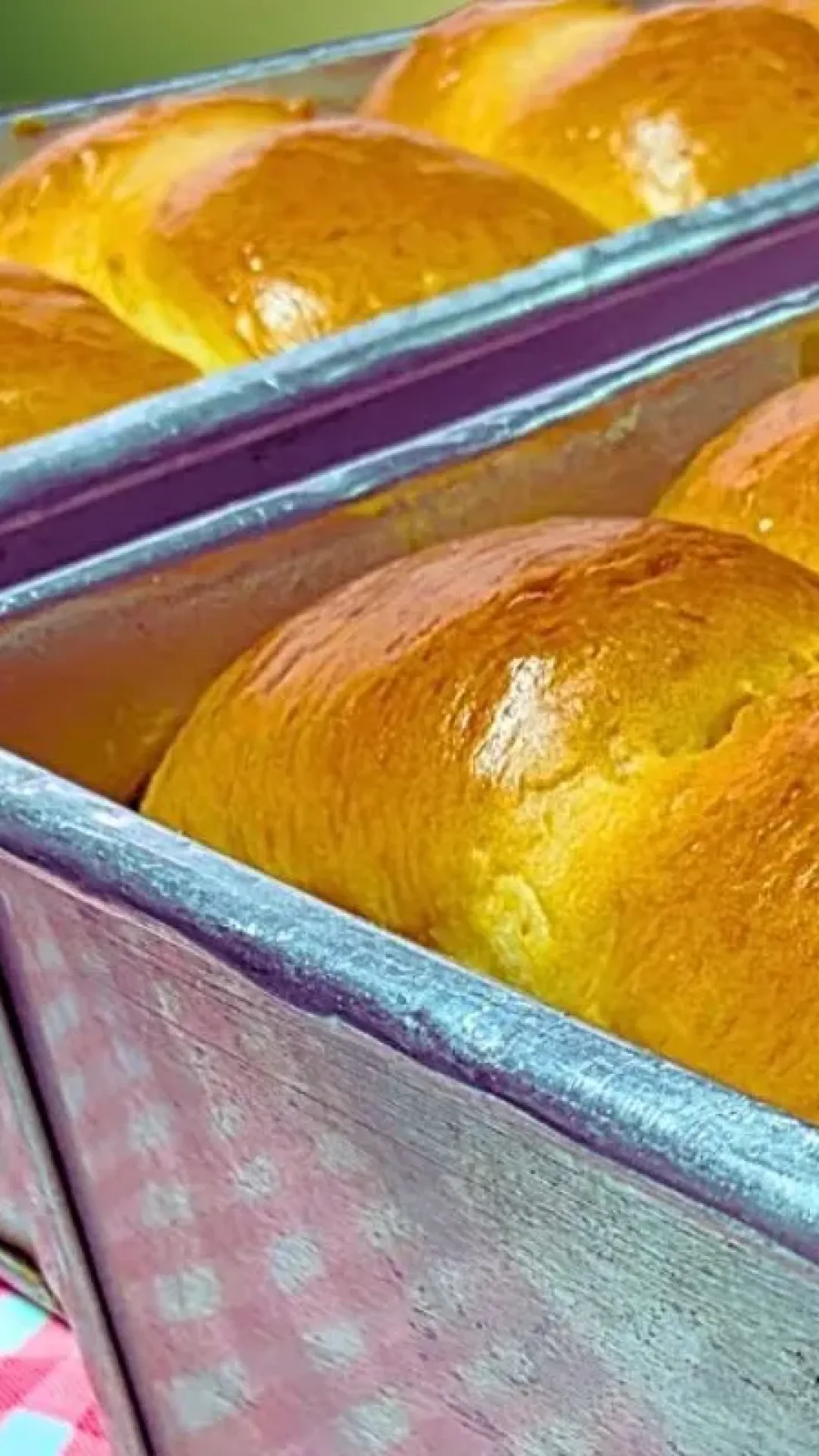 Pão tipo brioche fofinho e leve o mais gostoso que você vai fazer na sua casa