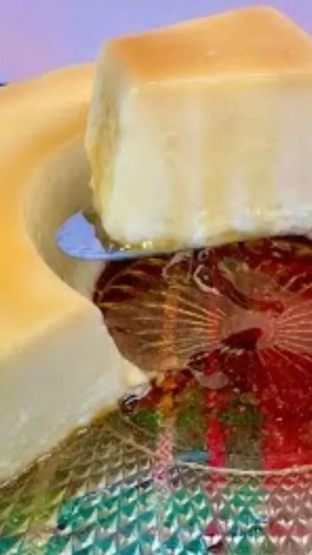 Pudim de leite ninho que não vai ao forno: uma receita prática e deliciosa que agrada a todos