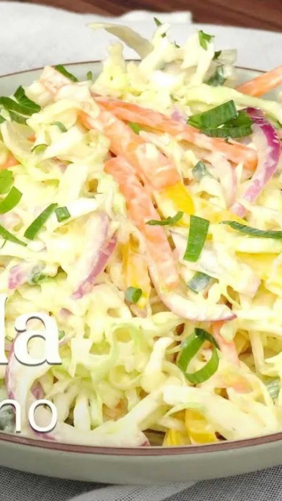 Salada de repolho cremosa, um acompanhamento delicioso e muito refrescante
