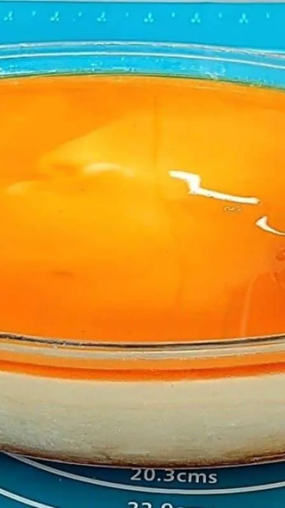 Sorvetão de pudim na travessa bem grandão para servir a família toda no domingo