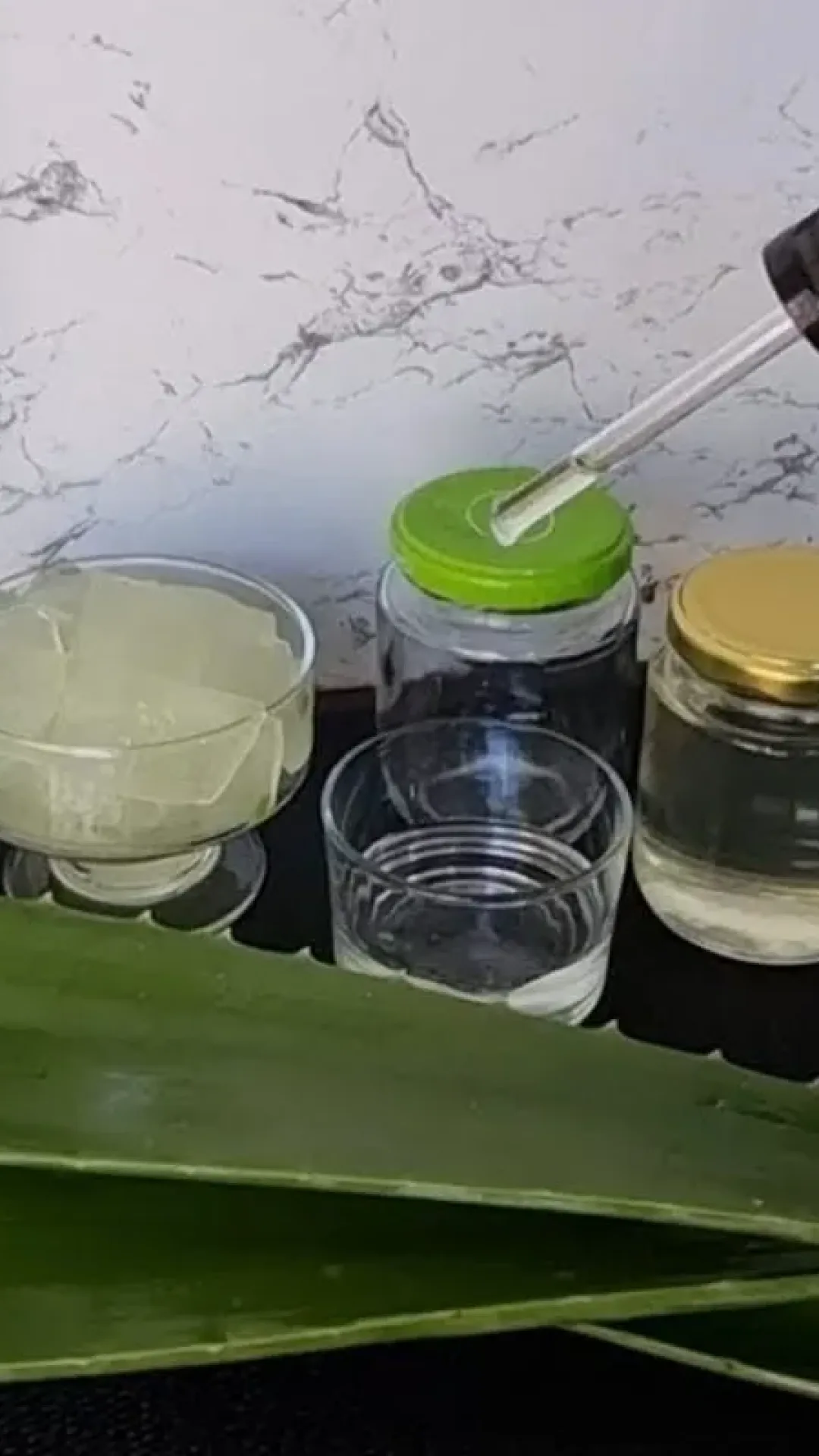 Veja todos os segredos para fazer um óleo de babosa caseiro