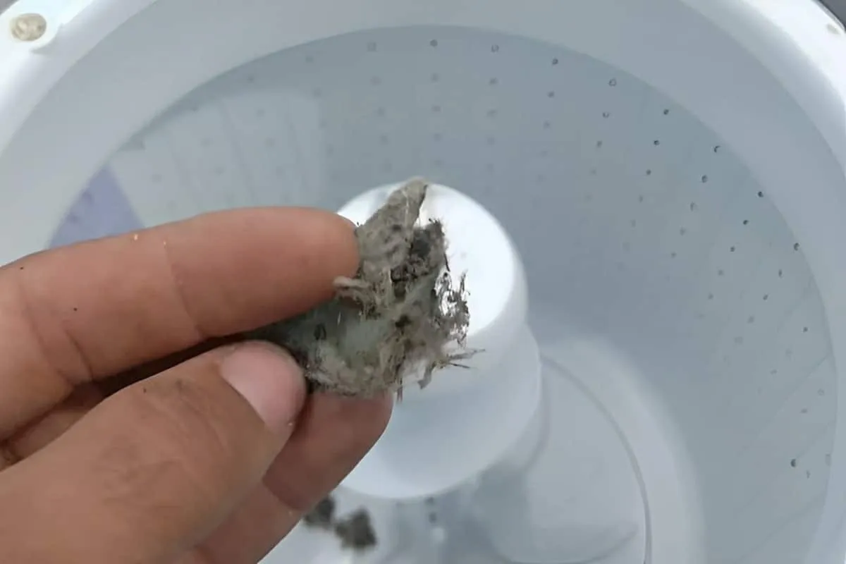 Truque para acabar com fiapos de roupas na máquina de lavar