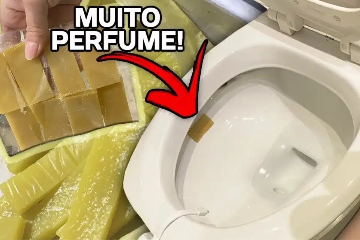 Veja como fazer pastilha sanitária caseira em grande quantid
