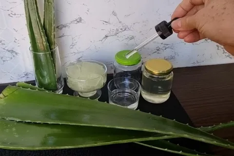 Veja todos os segredos para fazer um óleo de babosa caseiro