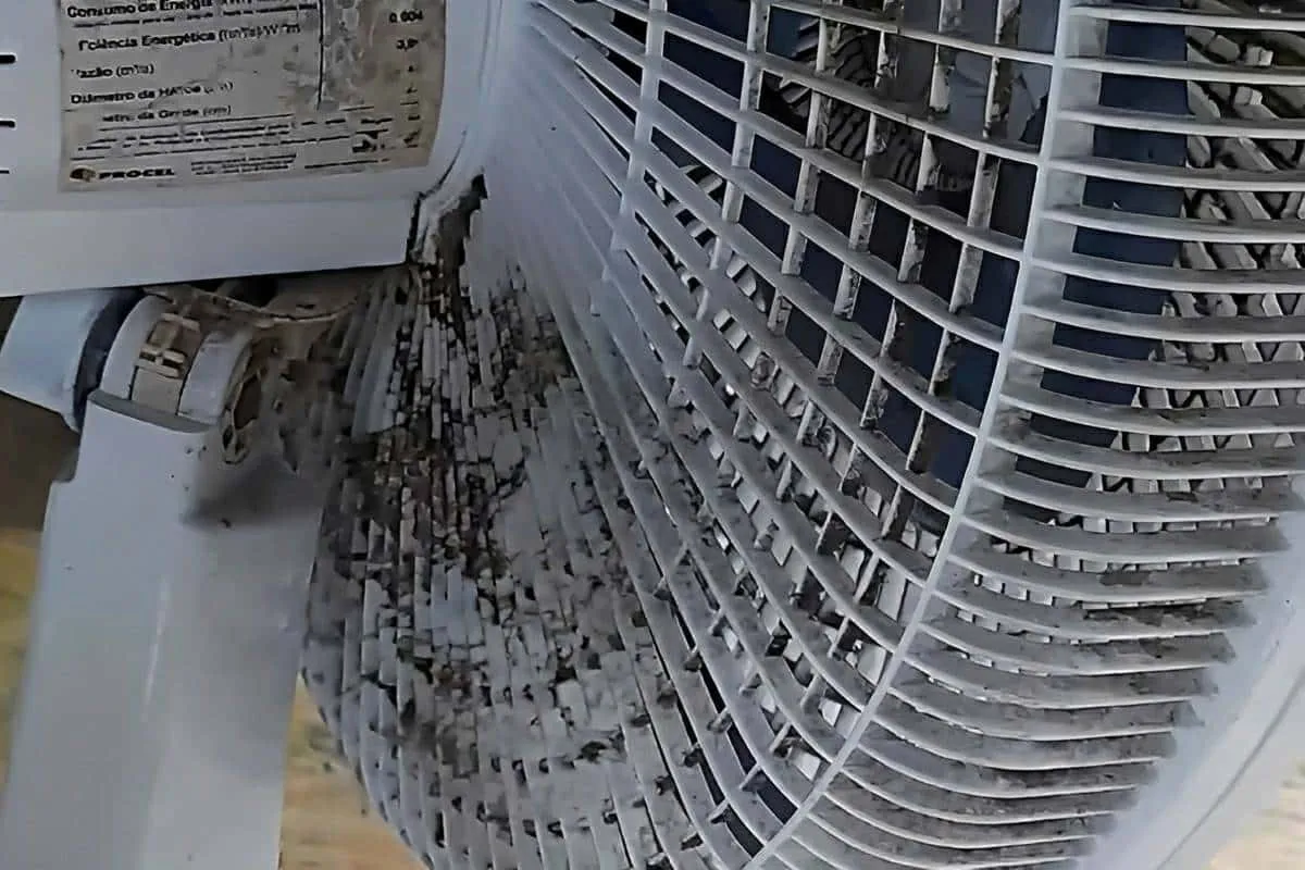 Você limpou ventilador errado a vida inteira mas agora vou e